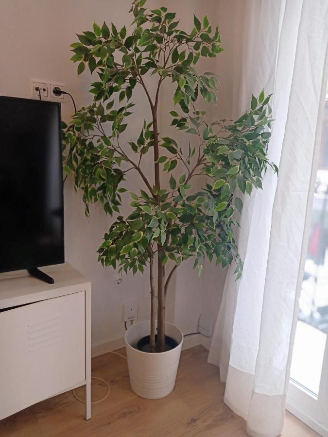 אליקאנטה Midtown Sweet Home מראה חיצוני תמונה